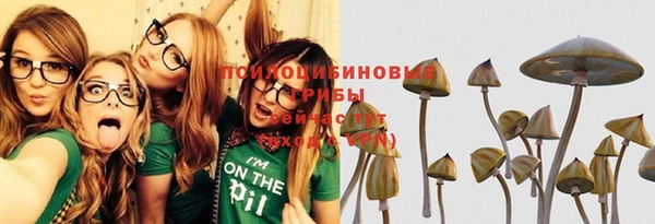 спиды Алексин