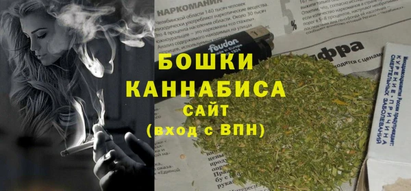 шишки Алзамай