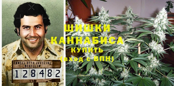 шишки Алзамай
