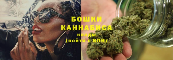 шишки Алзамай